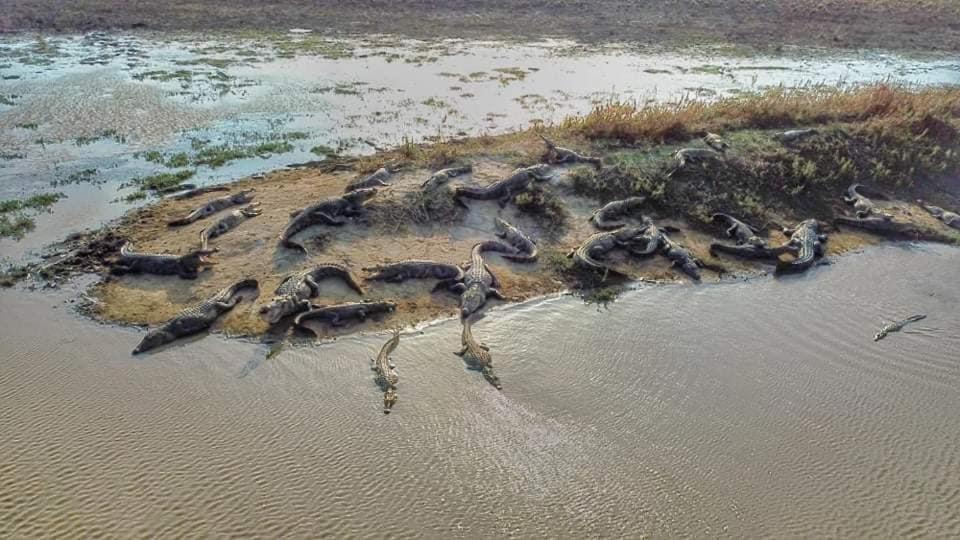 Crocodile Park Bungalow Kataragama Zewnętrze zdjęcie