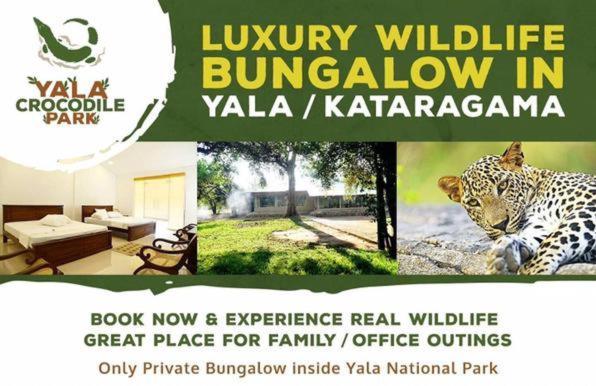 Crocodile Park Bungalow Kataragama Zewnętrze zdjęcie
